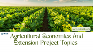 Harnessing the Power of Agricultural Economics and Extension: Exploring 15 Project Topics for Sustainable Development